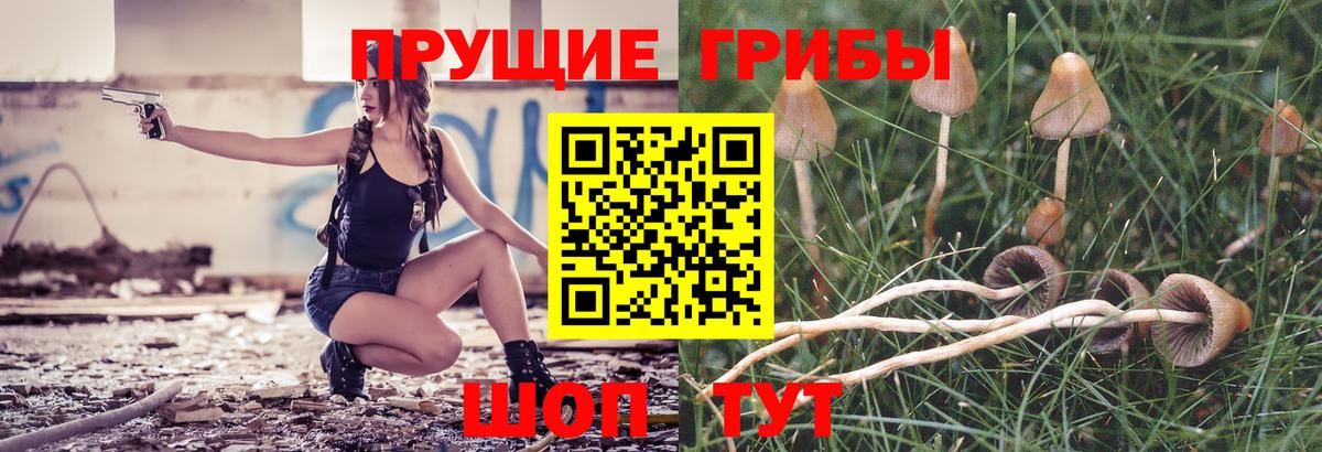 Псилоцибиновые грибы мицелий Усолье-Сибирское