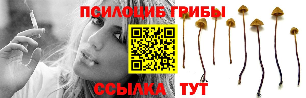Усолье-Сибирское  Псилоцибиновые грибы Psilocybe  Вход с VPN 